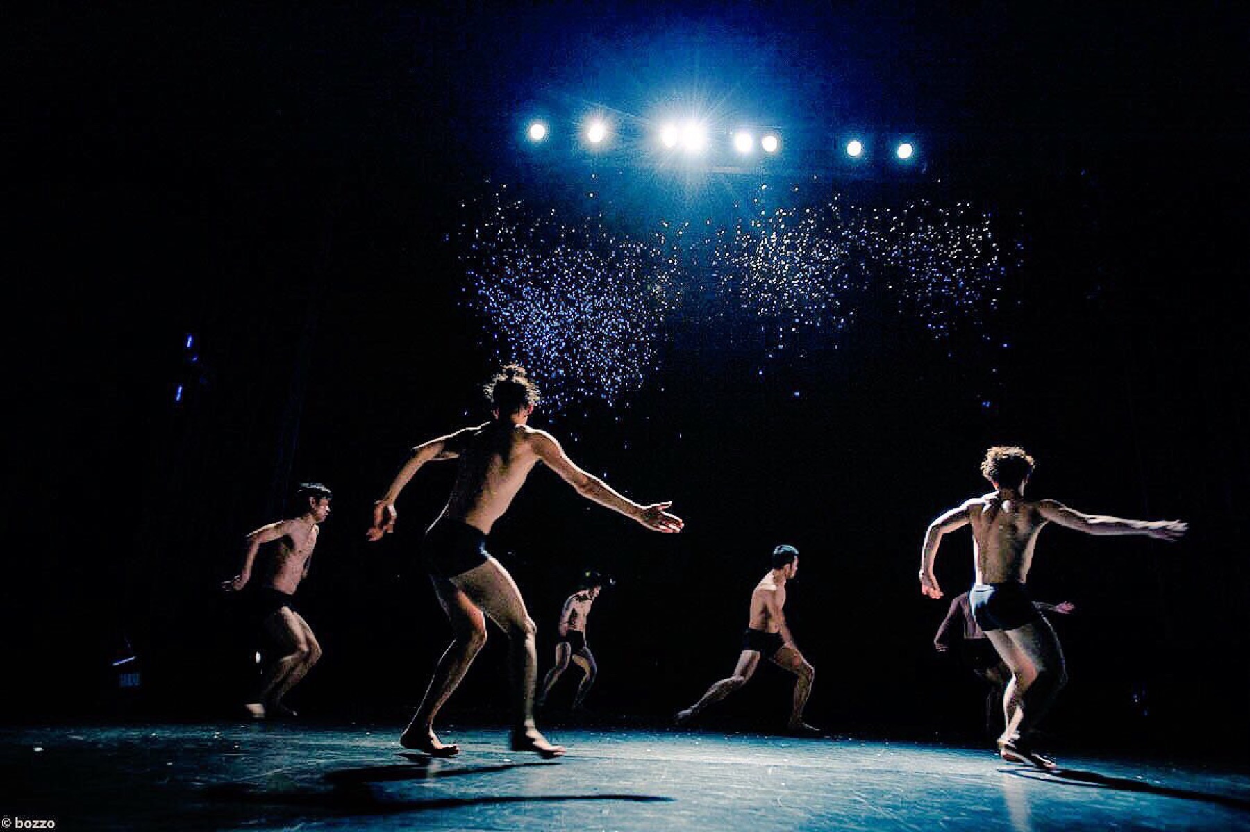 BUSHMAN performance